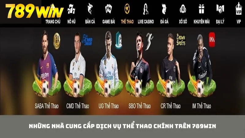 Cá cược thể thao đến từ nhiều nhà cung cấp danh tiếng trên thị trường