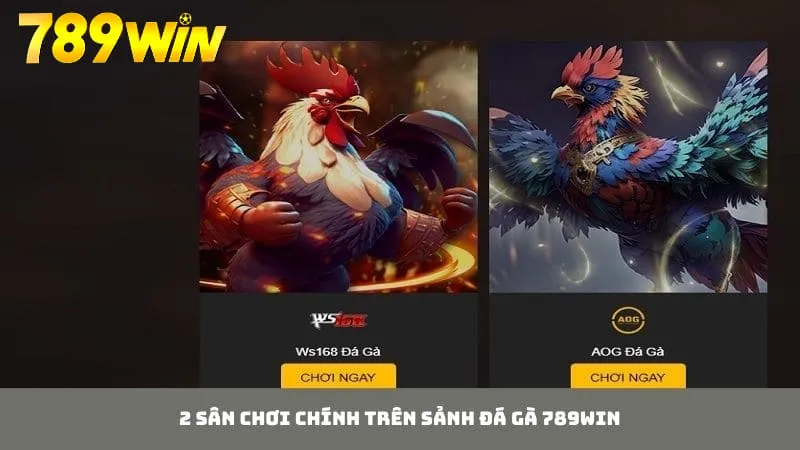Sảnh đá gà 789WIN cung cấp 2 sân chơi chính đến các thành viên