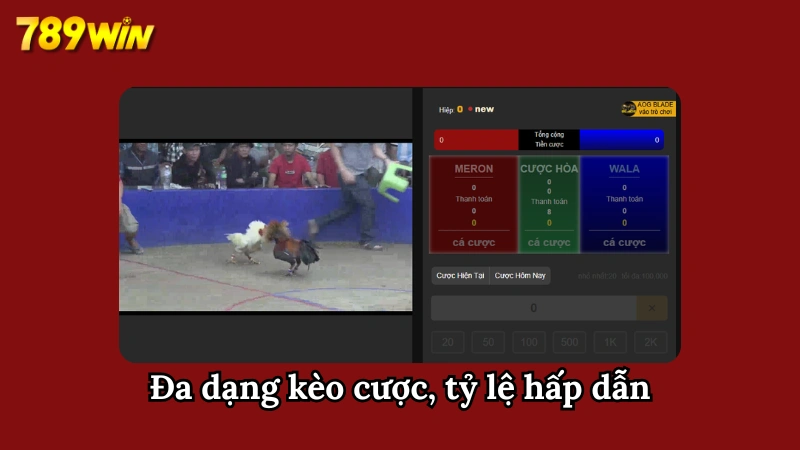 Hệ thống đá gà online với đa dạng thể loại kèo