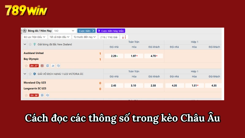 Khám phá các thuật ngữ dùng trong kèo Châu Âu cho người mới