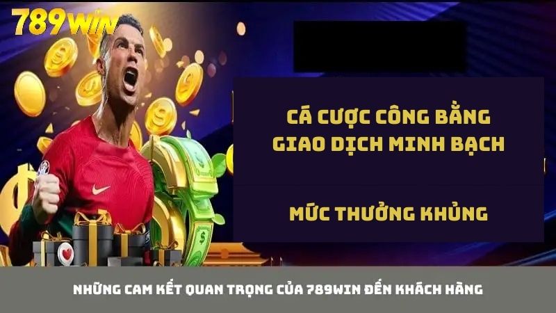 Giới thiệu 789WIN chi tiết về những cam kết đến khách hàng