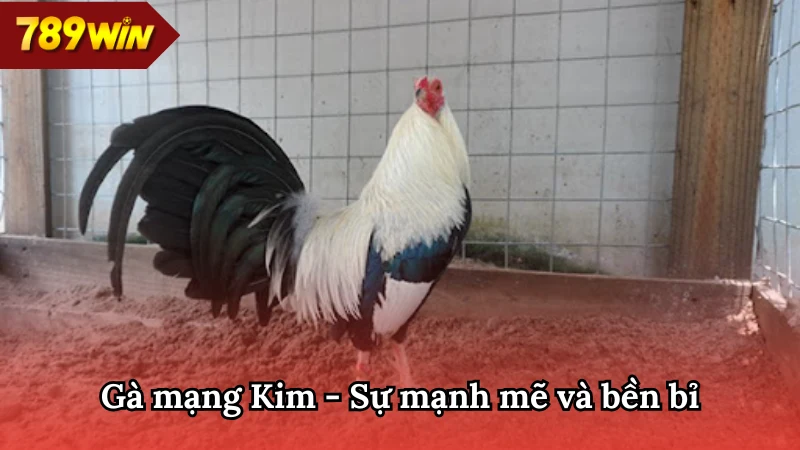 Sở hữu bộ lông trắng, vàng ánh kim hoặc xám