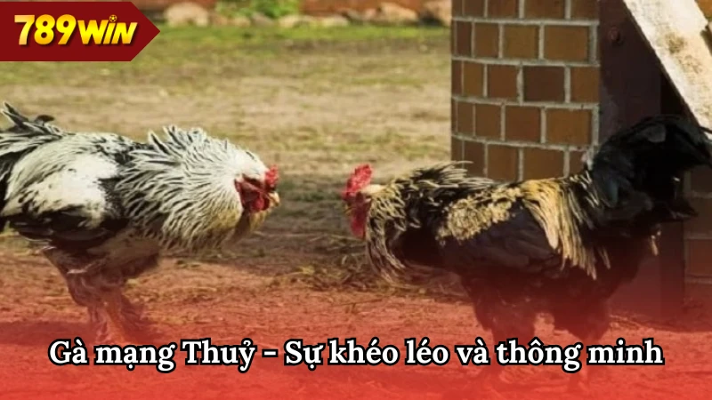 Màu mạng gà 789WIN mệnh Thuỷ tập trung vào kỹ thuật di chuyển