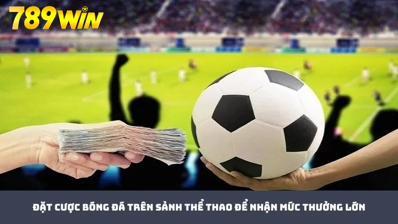 Cá cược bóng đá hấp dẫn trên thể thao 789WIN