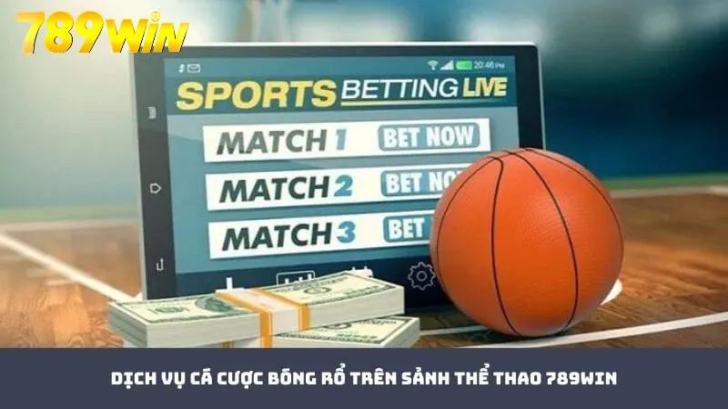 Nhiều giải bóng rổ lớn được cung cấp trên thể thao 789WIN