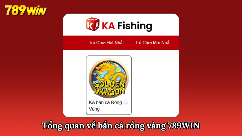 Khám phá thế giới săn cá đỉnh cao tại hệ thống hàng đầu