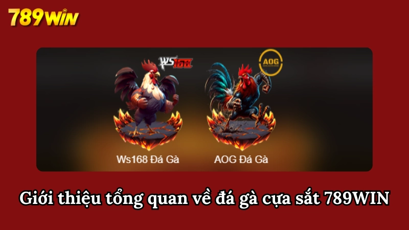 Tổng quan về bộ môn đá gà cựa sắt tại sảnh game uy tín hàng đầu